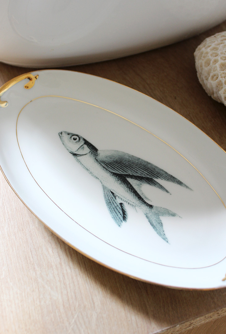 Coupelle Poisson volant – Image 2