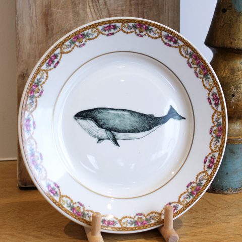 Assiette Baleine frise
