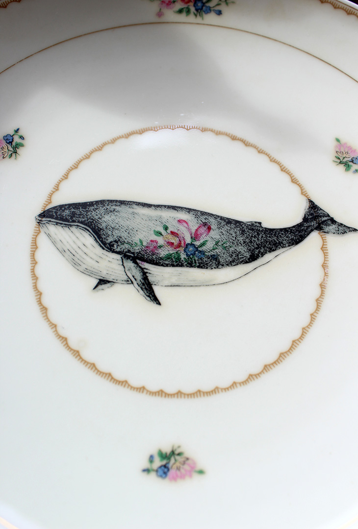 Plat Baleine – Image 3