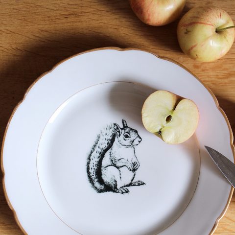 Assiette Écureuil