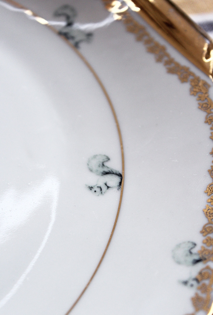 Plat Écureuils – Image 5