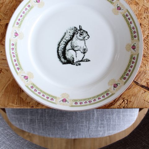 Assiette Écureuil