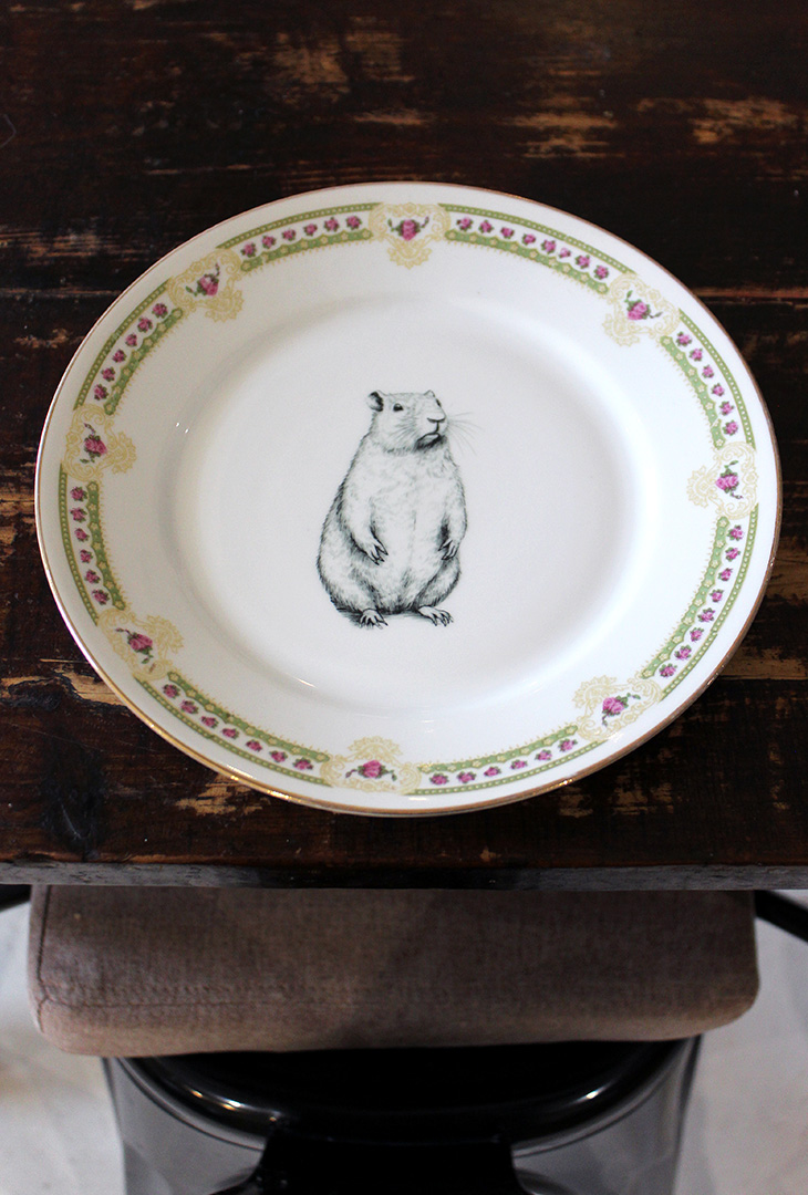 Assiette Marmotte