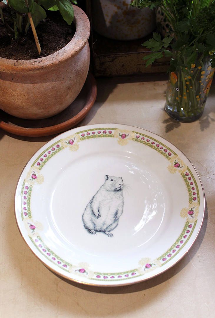 Assiette Marmotte – Image 2