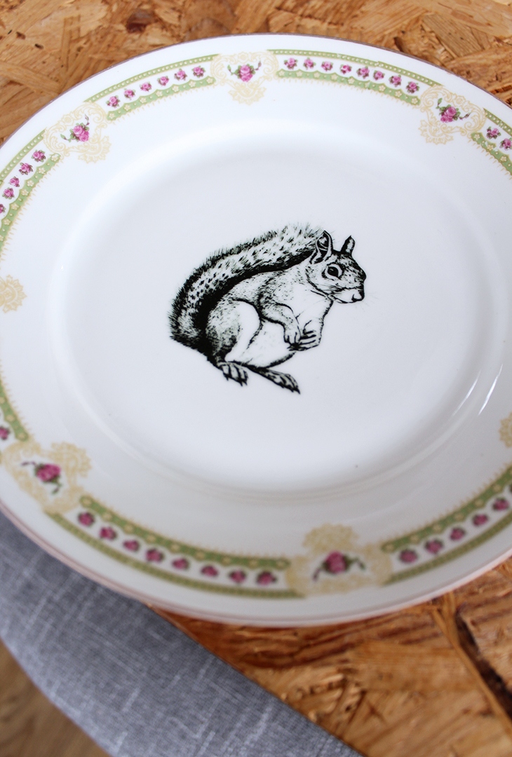 Assiette Écureuil – Image 2