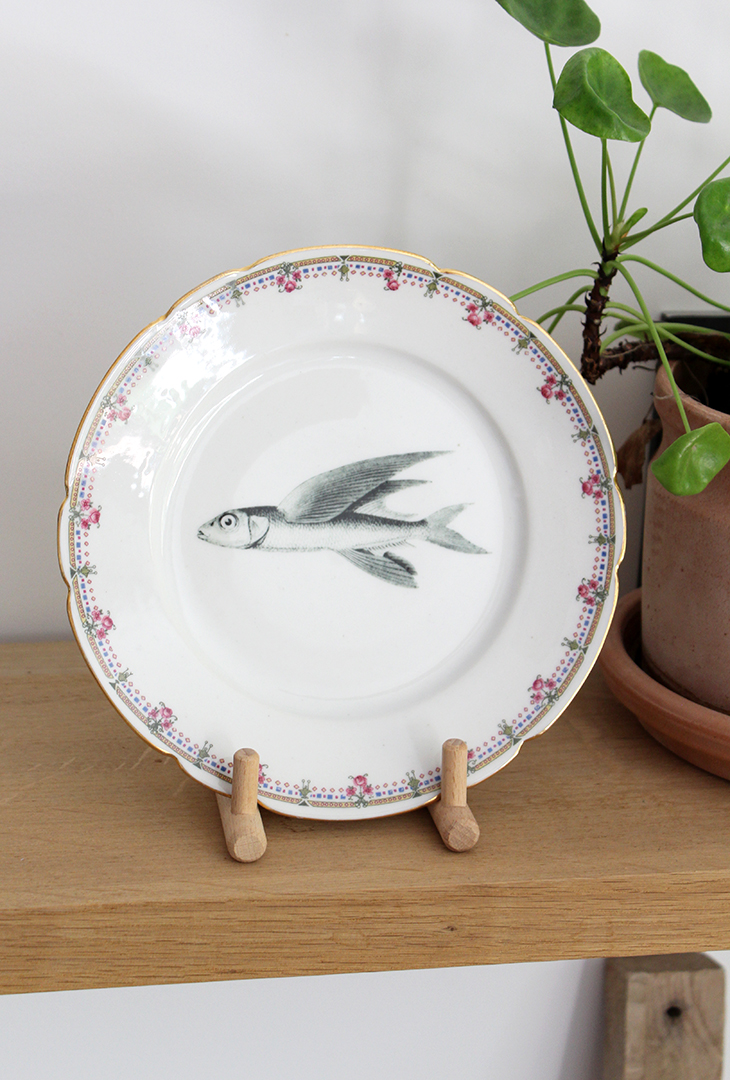 Assiette Poisson volant – Image 4