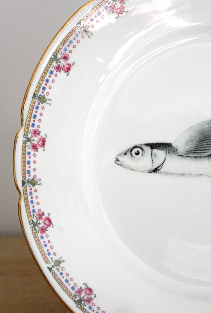 Assiette Poisson volant – Image 2